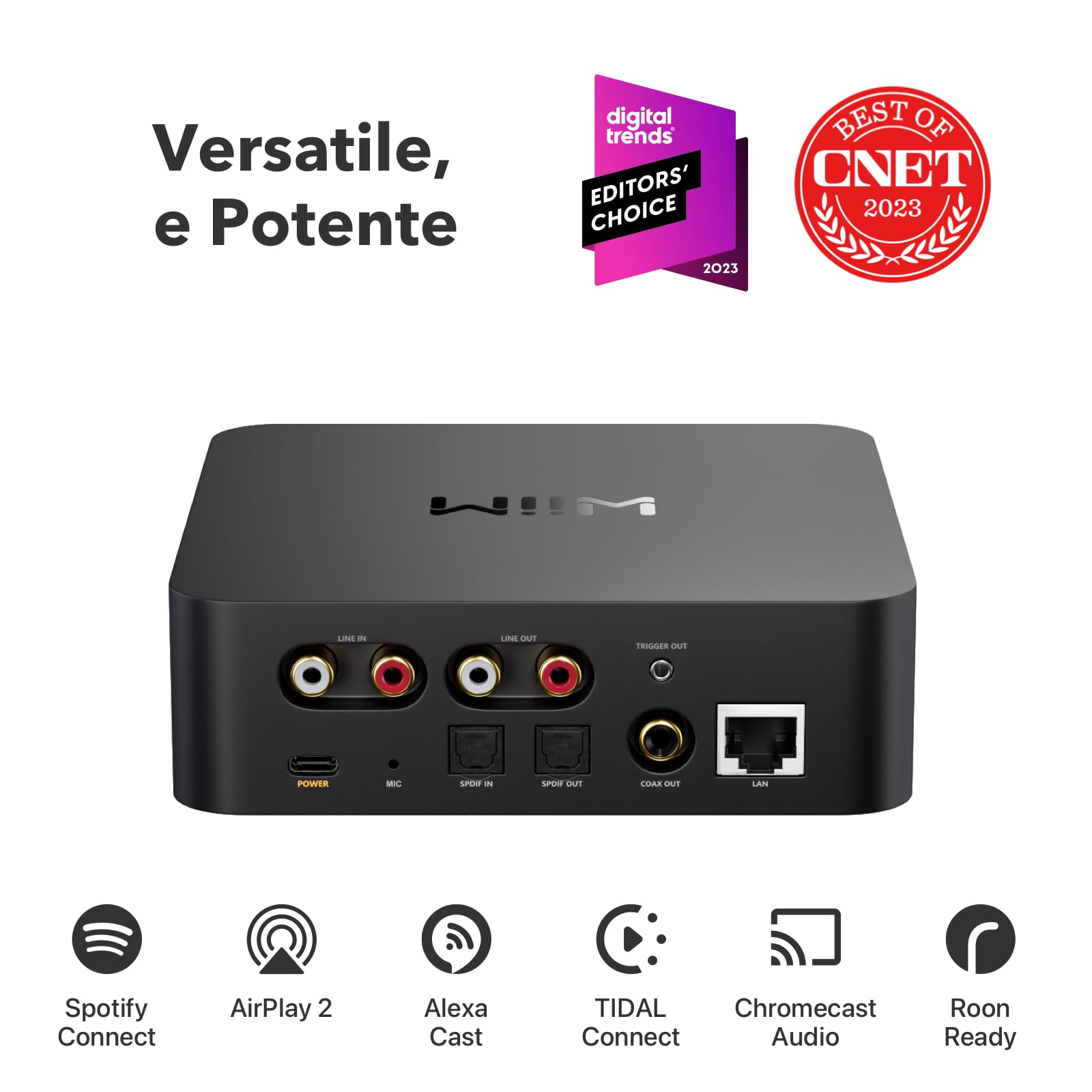 wiim-pro-streamer-musicale-per-stereo-con-airplay-2-e-google-cast image 2