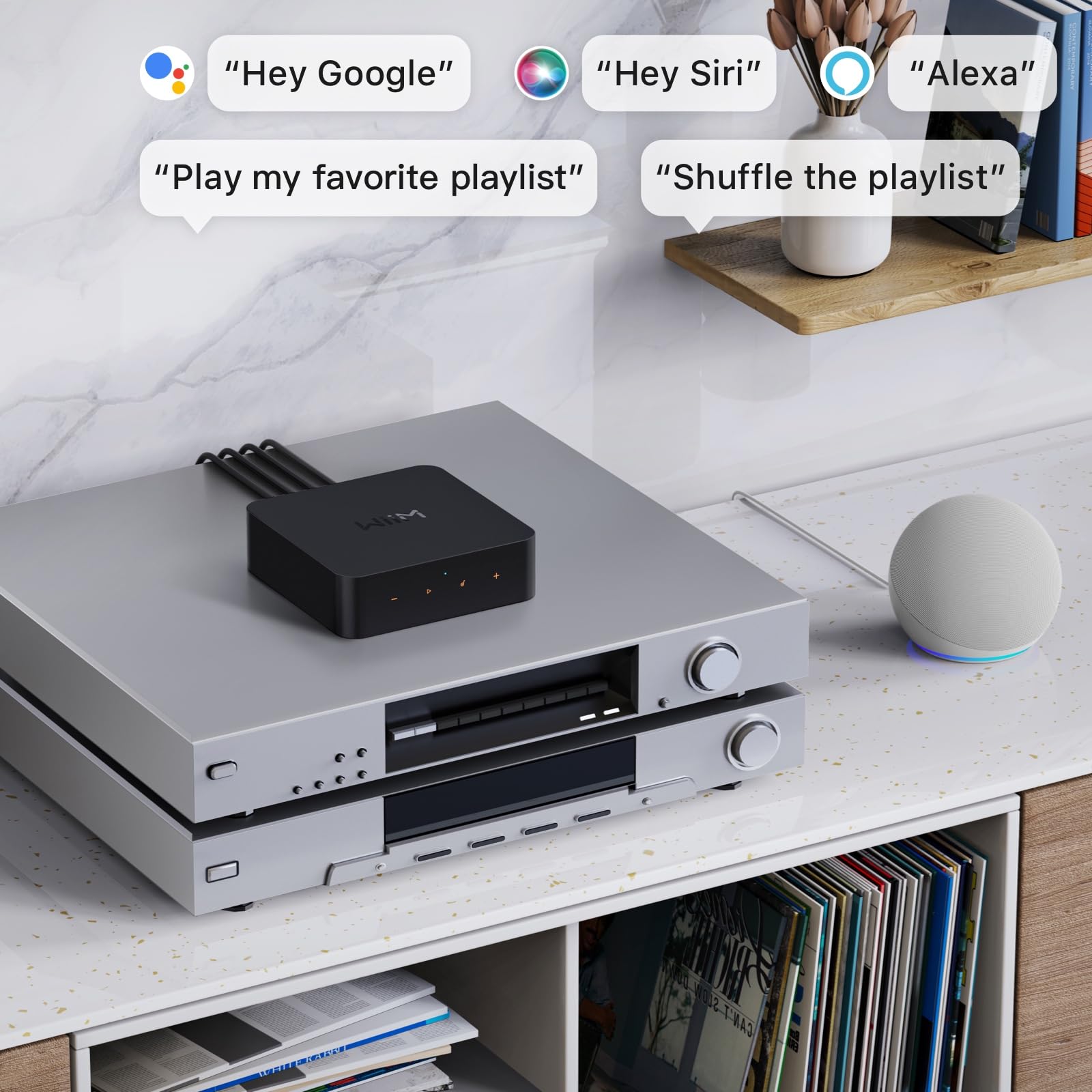 wiim-pro-ricevitore-airplay-2-multiroom-hi-res-con-telecomando-vocale image 8
