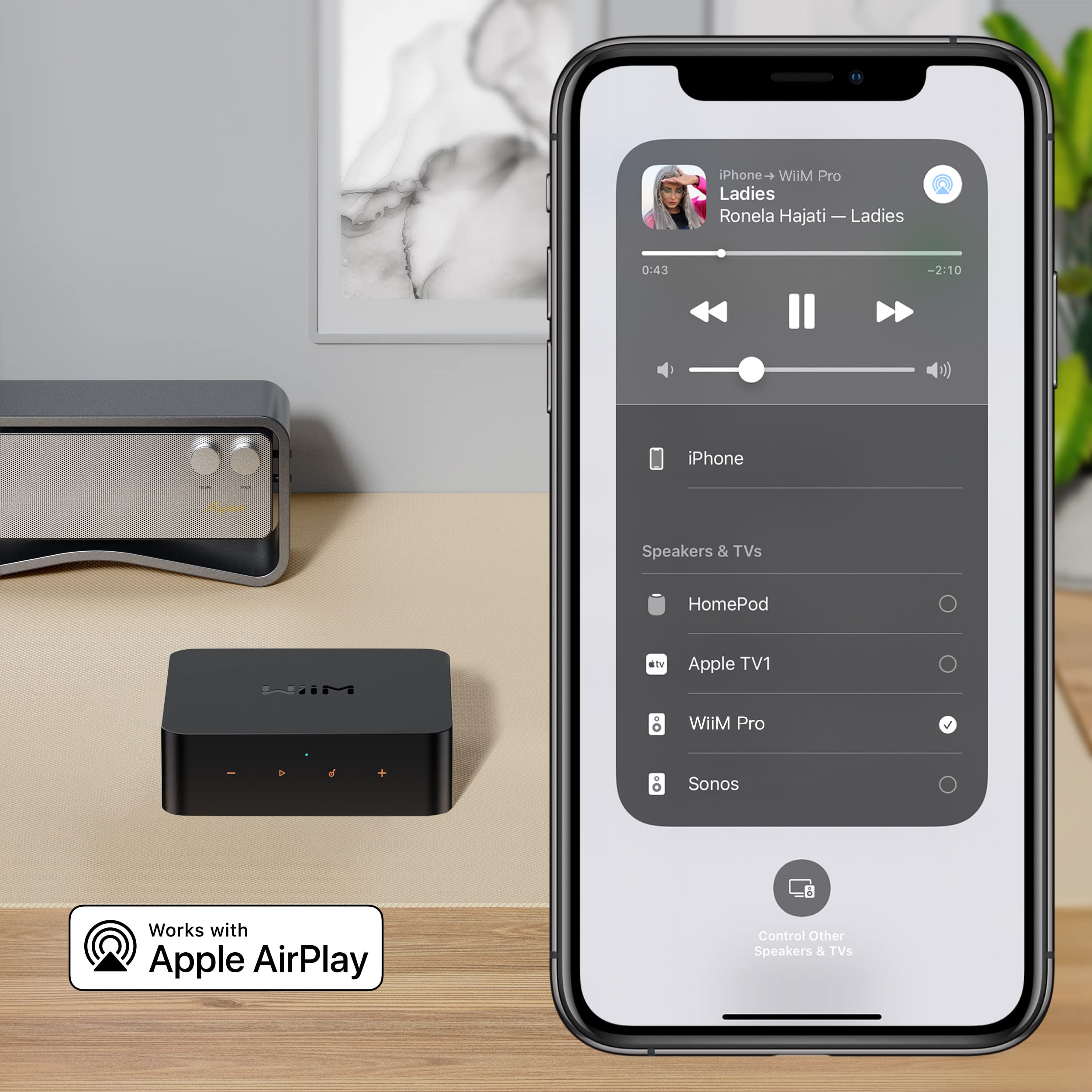 wiim-pro-ricevitore-airplay-2-multiroom-hi-res-con-telecomando-vocale image 3